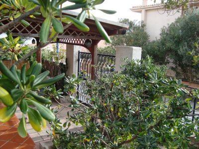 Apartament Le Pavoncelle Blu Cala Gonone Zewnętrze zdjęcie